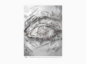JR - The Eye of the New-York City Ballet, 2014, 2025 (standard poster)