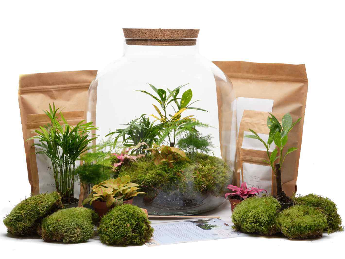 DIY Terrarium Kit Extra Large  ◦ Holborn H: 38 cm