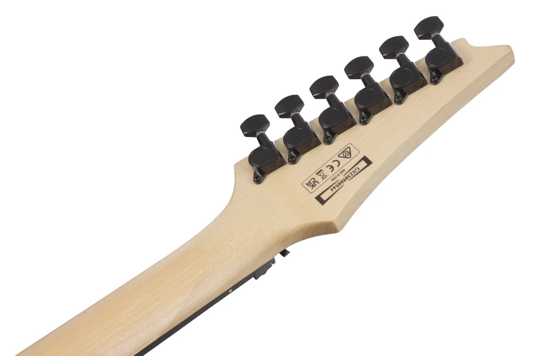 Ibanez GIO RG Electric Guitar - Black Flat GRGR330EXBKF