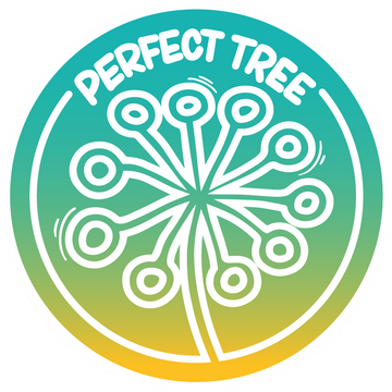 Fat Bomb | Perfect Tree Seeds | 6 Feminized Seeds