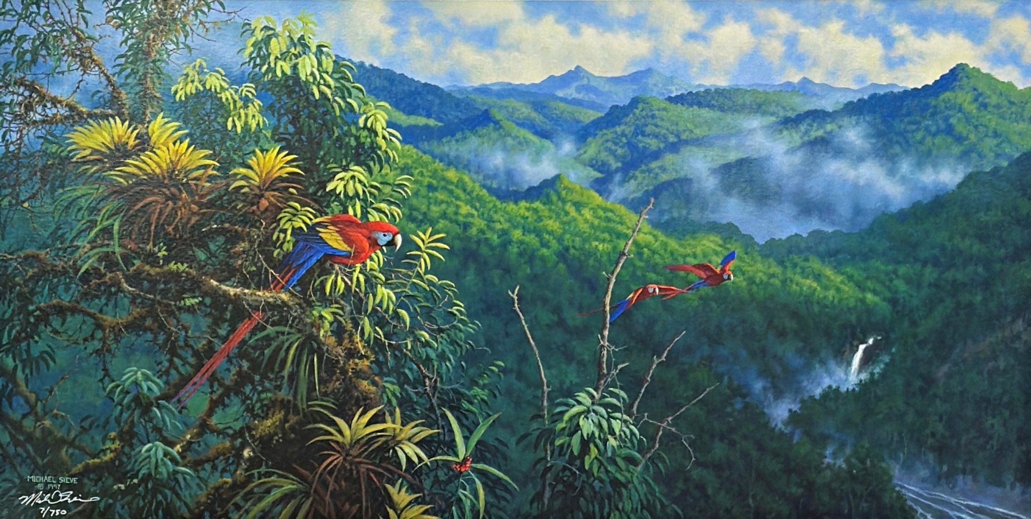 Michael Sieve Panama Red Mcaws S/N Art Print-27 x 14