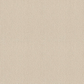 Lifeproof Lightbourne - Pearl - Beige 39.3 oz. Nylon Loop Installed Carpet