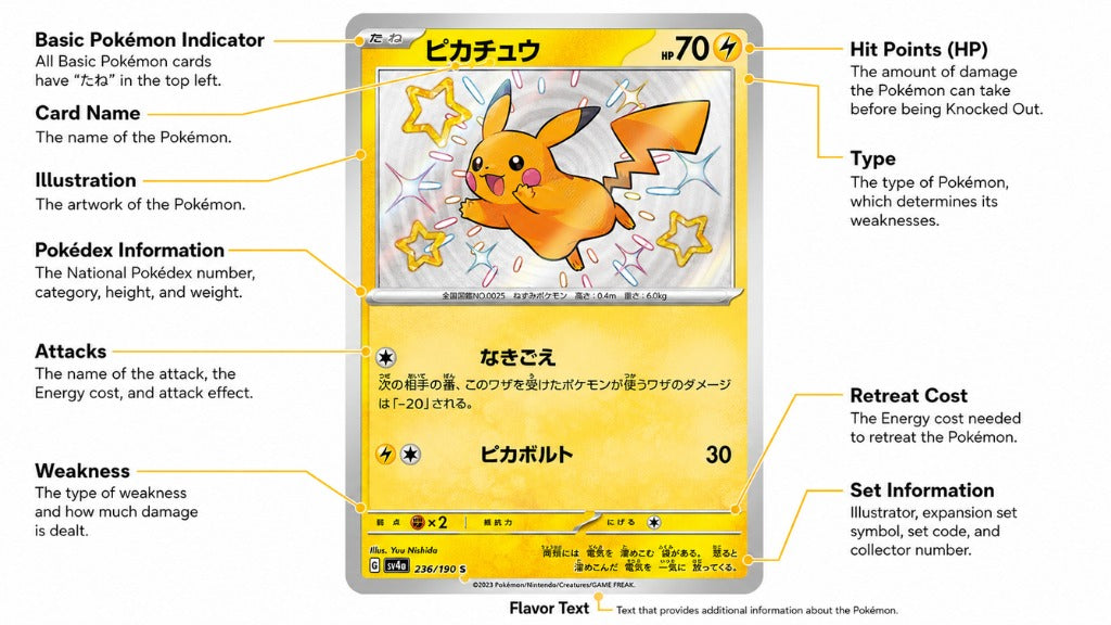Japanese TCG Pokemon card explanation: Basic terms, rarity & rules bre