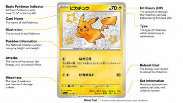 Japanese TCG Pokemon card explanation: Basic terms, rarity & rules bre