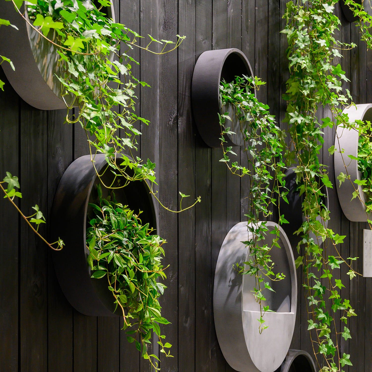 Wally Wall Hanging Pot