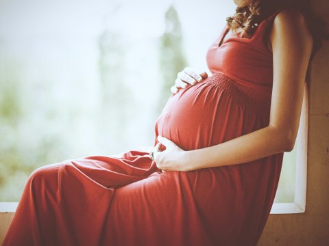 Zwangerschapsreflexologie II: Misselijkheid & Maagzuur tijdens de zwangerschap verlichten 4 september 2026 in Rijswijk