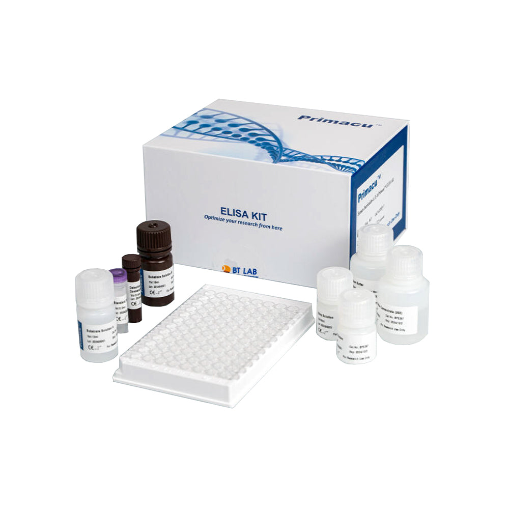 Human Wap Four-Disulfide Core Domain Protein 2, WFDC2 ELISA Kit, 96T