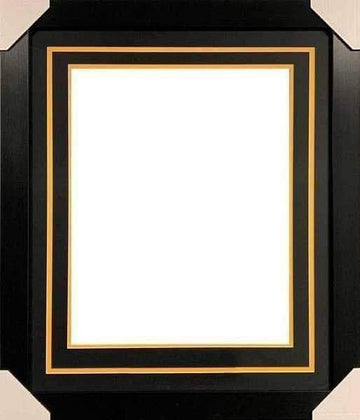 Professional Framing For 16X20 Photo No Nameplate