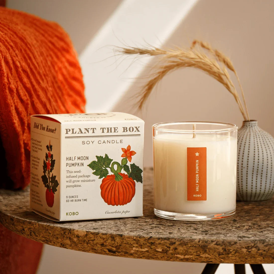 Half Moon Pumpkin Plant the Box Candle