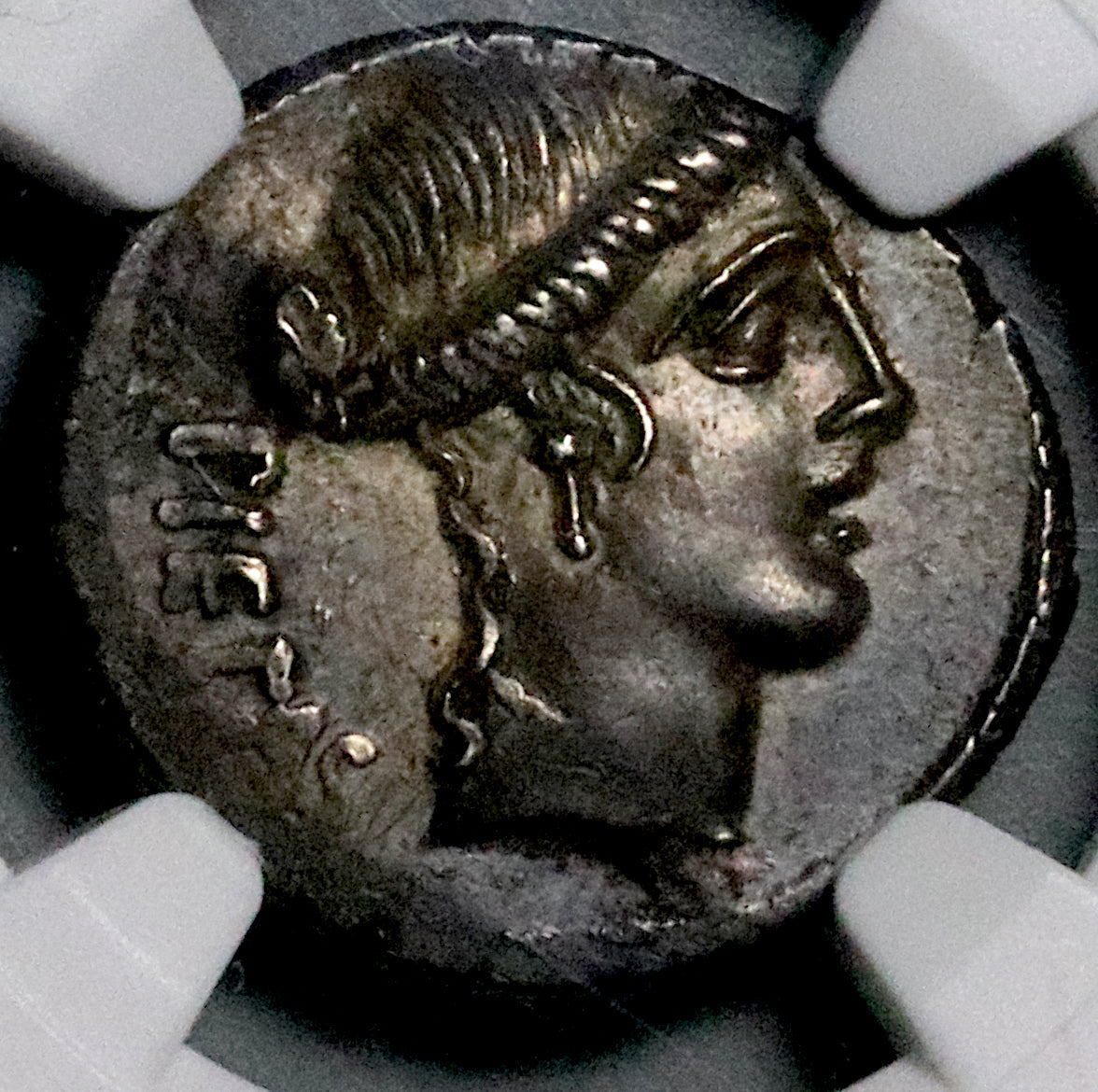 48 BC NGC AU Albinus Bruti Brutus Roman Imperatorial Republic AR Denarius Pietas Julius Caesar Assassin Silver Coin (26071303C)