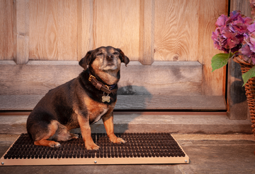 Doormat, Large - Beechwood & Horsehair