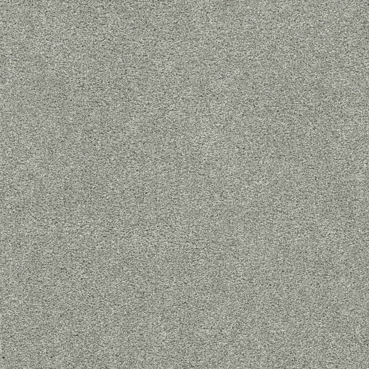 DreamWeaver® Silver Lining III Textured Carpet