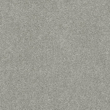 DreamWeaver® Silver Lining III Textured Carpet