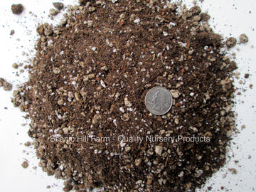 Spineless Succulents & Cactus Soil Mix - Custom Blend - Proper Drainage