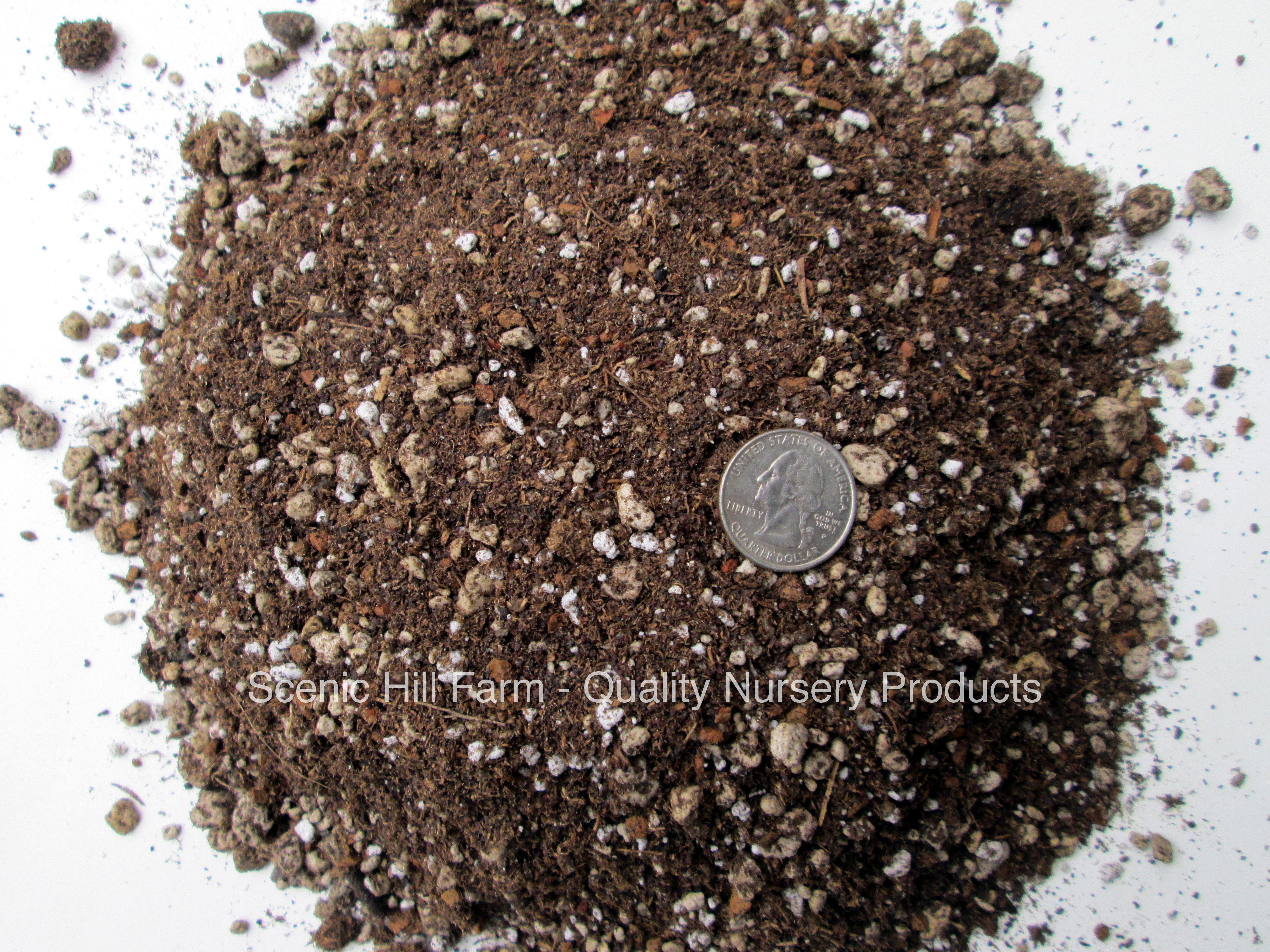 Spineless Succulents & Cactus Soil Mix - Custom Blend - Proper Drainage