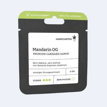 Mandarin OG | Autoflowering
