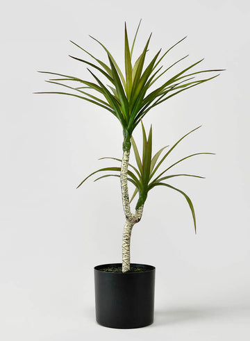28in Tall Long Yucca Tree Decor Jamali Garden