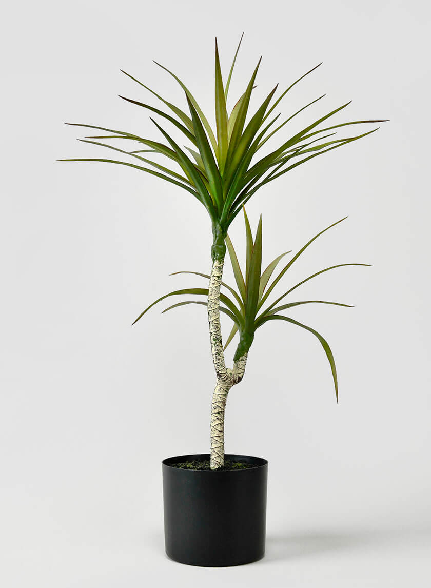 28in Tall Long Yucca Tree Decor Jamali Garden